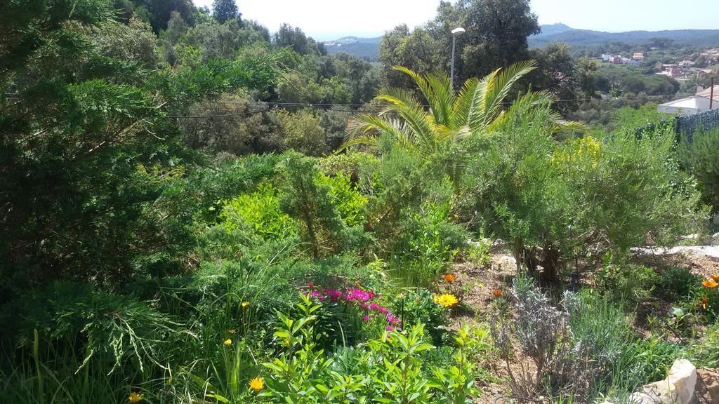 Holiday Home Cardona يوريت دي مار المظهر الخارجي الصورة
